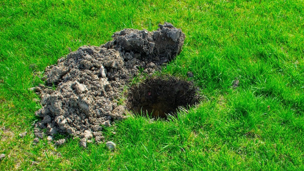 Hole dug in grass | How Far Can GPR Detect? | US Radar